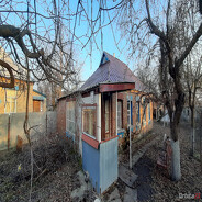 фото Переселение Украинки